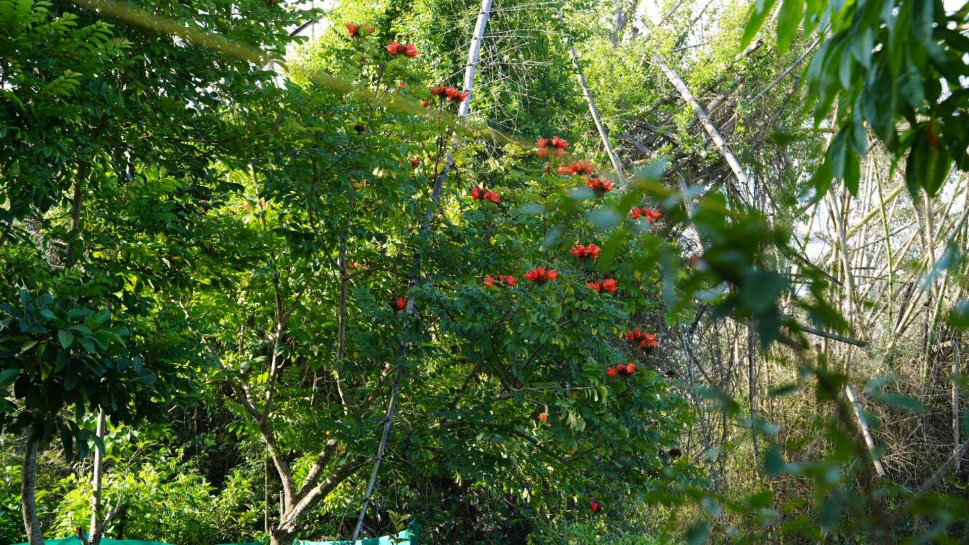 The Deer Meadows Βίλα Mudumalai Εξωτερικό φωτογραφία